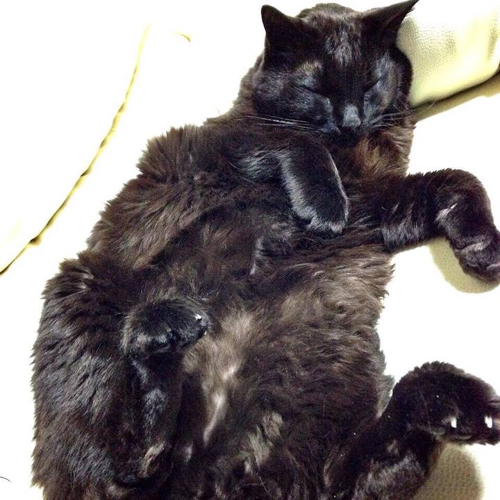 8a2a4c42 2c37 49c5 a905 fb8d83c0928d