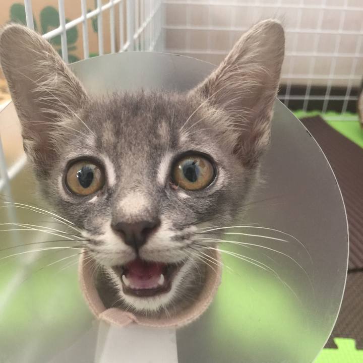 8a2b2b54 d825 4275 987e f9756cbbce9a