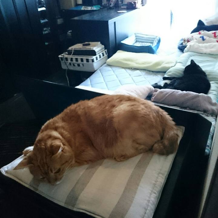 8a2b7841 7dae 47f3 b67d 5f237d1050e8