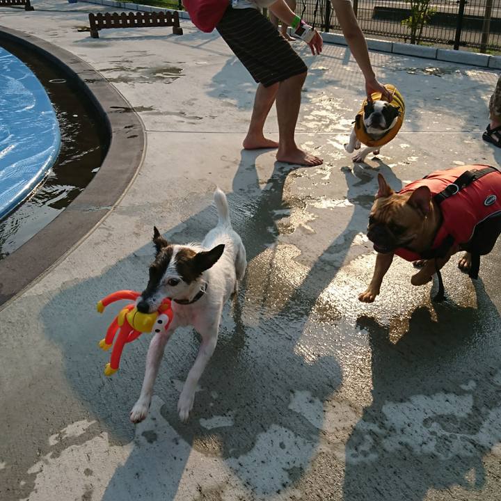 8a2b7bb7 b3ae 46a4 9a9e 703aa3bc9e9a