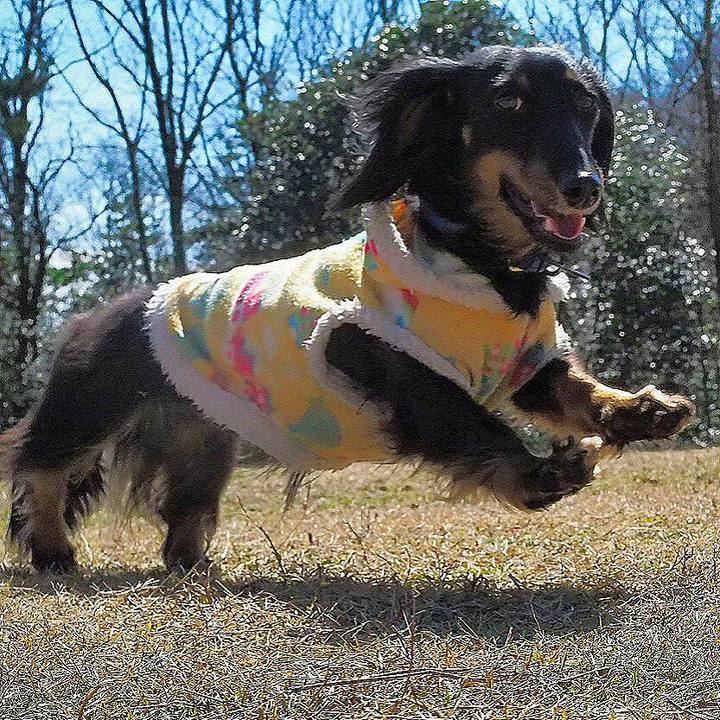 8a2d0e5d f276 45df 8f66 6da5e7d976ef