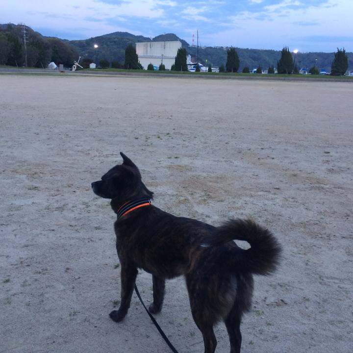 8a2d87af fee8 415f 9a95 dd332aea0c70