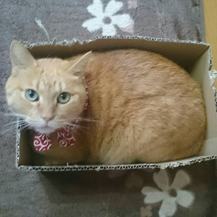 8a2d9262 3f1b 4ce7 a1f6 9ecf3d3771ed