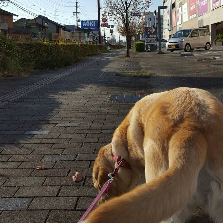 8a2d9c7c 996f 4774 8d06 311ebadd83db