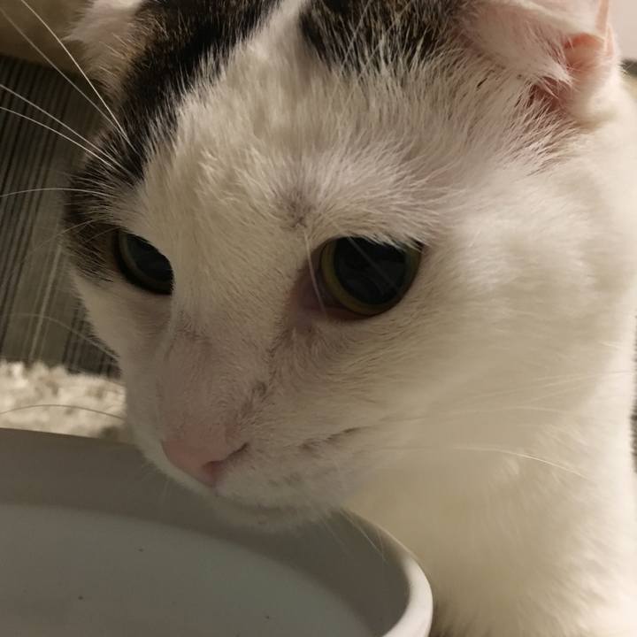 8a2e3297 9623 4d9f 9d5c 3343fa286a61