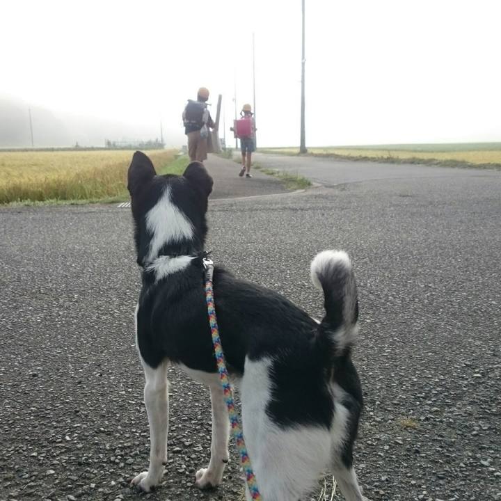 8a2e3a3e c27e 49f6 b354 a7e1cfe5e1c2