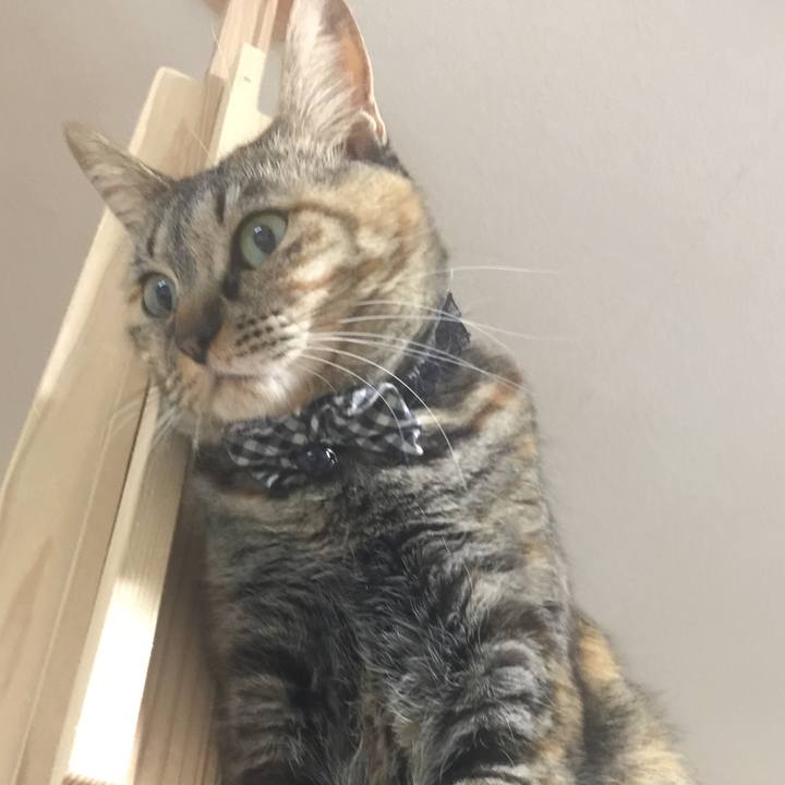 8a2e8259 21c8 4066 bdd5 e63b740ee09c