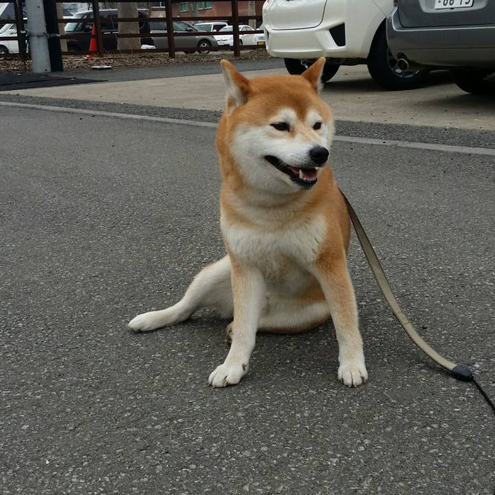 8a2e9aeb 75d6 4a14 956d 08639cf1ba7d