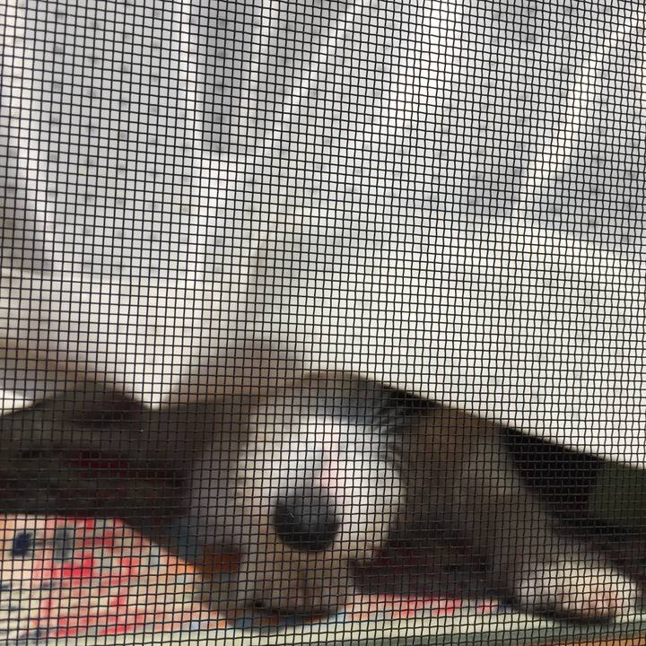 8a2ef362 4f5a 465d 9cc8 1fcc4e3eb94f