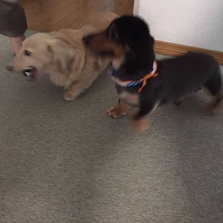 8a2ef838 ff2d 40cf a8c8 c94c3a015356