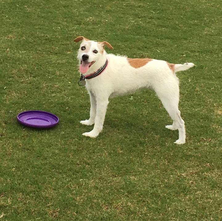 8a304ca4 66c7 4489 a239 851ff59600b2