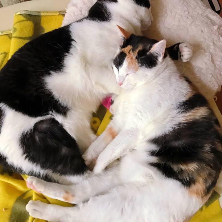 8a30ba73 ef31 47d4 8417 9951f655906d