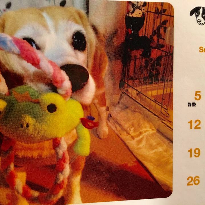 8a315a66 f385 41cc a4b4 321aaa9cc723