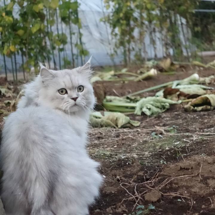 8a317d02 f52b 4ed1 8f58 e2d19177432b