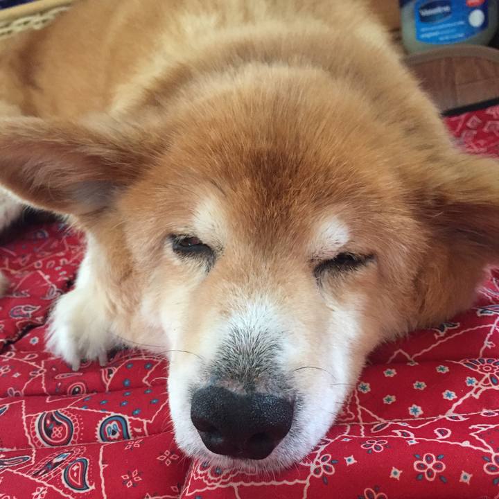 8a31929b f51f 4942 9b60 997b94af12d0