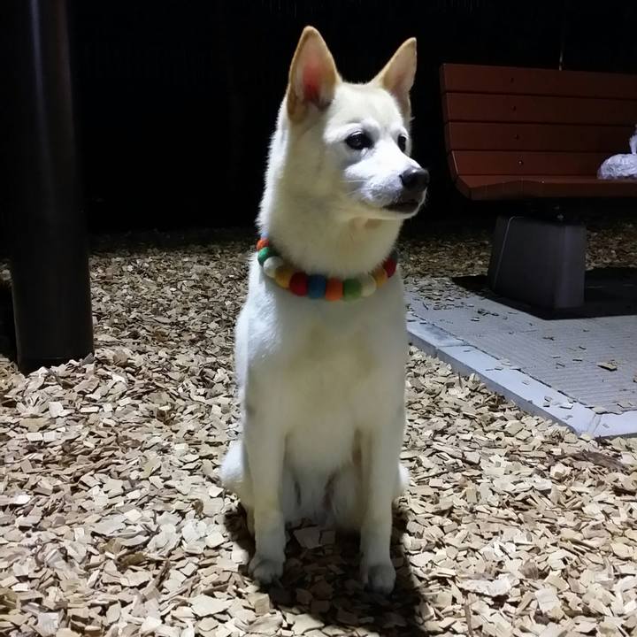 8a321ddc 25ff 4d93 9e9c fba2d74aeb13