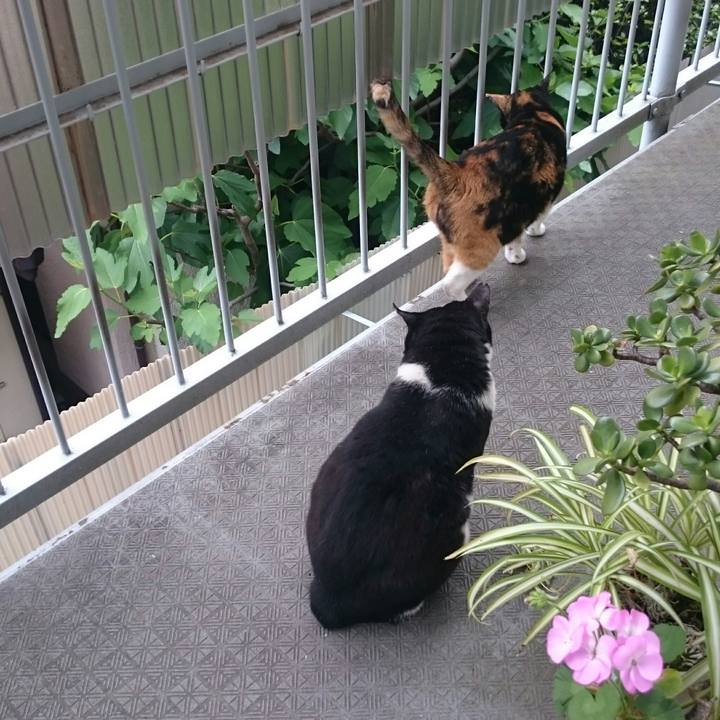 8a329628 a259 4539 b0d1 811923f7597a