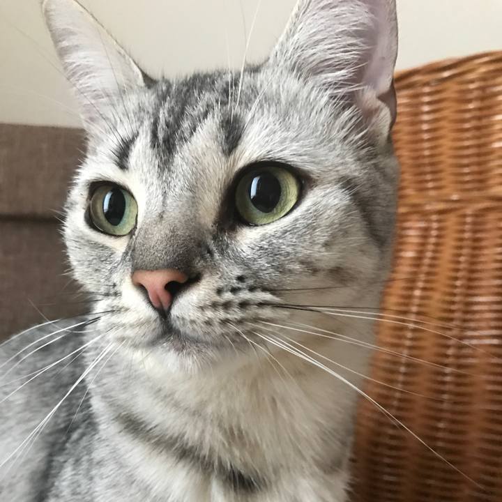 8a329675 d0cd 4a13 9a64 ab417d22d9a2