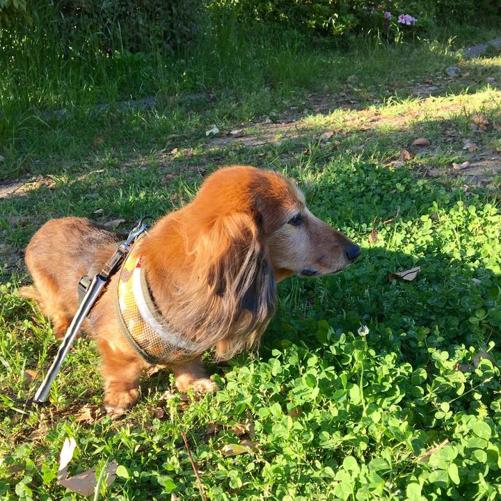 8a335bbb af6c 4e6e b11f 3c99d81f6d09