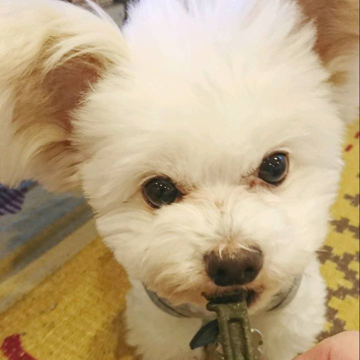 8a33e3e1 1412 420e 839f e1dbe5785674