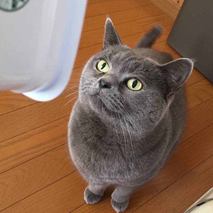 8a33f153 f4b6 4c33 8372 498dbe988baa