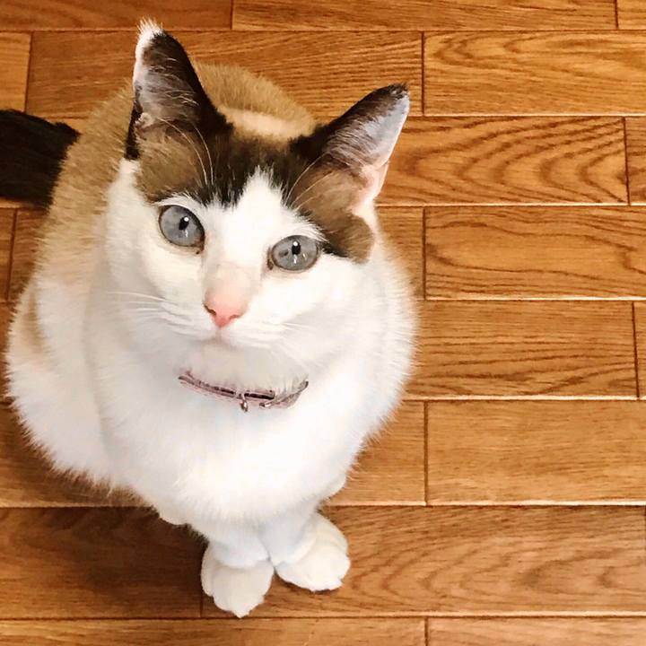 8a341acc 0523 468c a7d9 5b6766b275b0