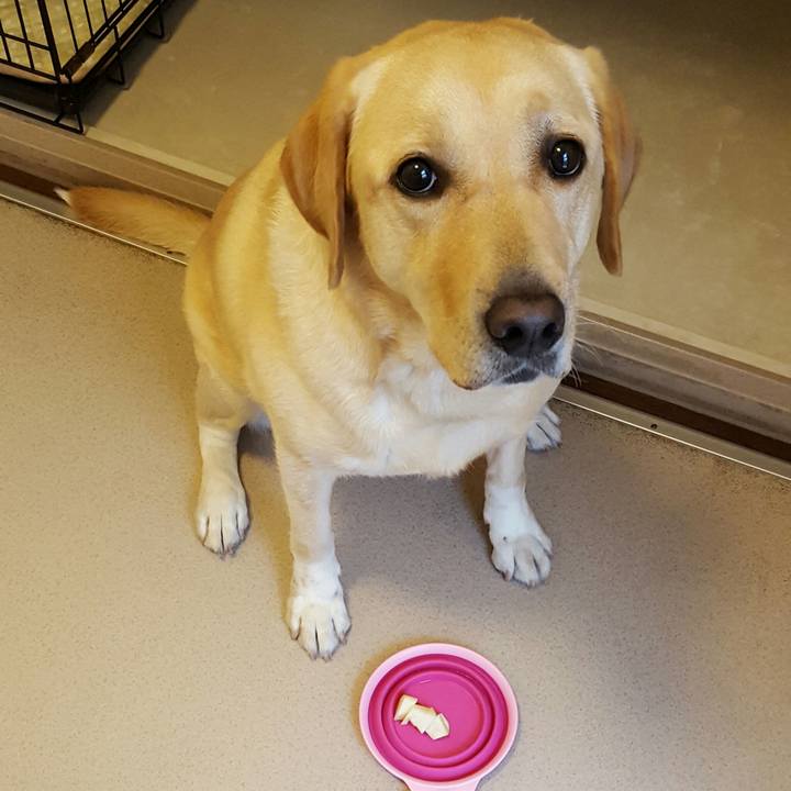 8a3464de 6284 498e a809 1765e50ee81b