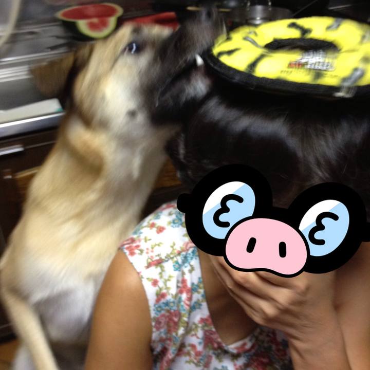 8a34d5c0 7d2c 481d 929d ce54499592f8