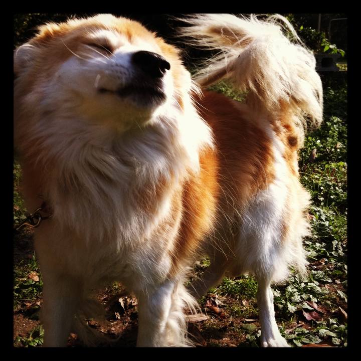 8a357015 f11f 4a1e a81a 1030497a51e0