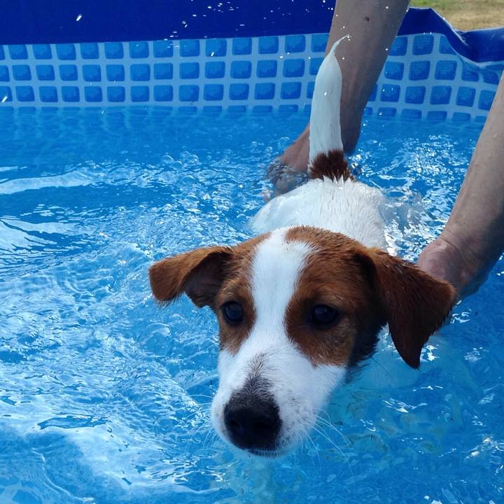 8a380065 27be 4a69 a110 f2a25dd6cacd