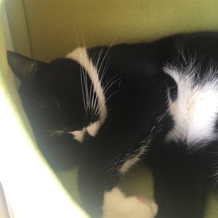 8a38ba79 7d86 4014 b8d5 78580714b4f7