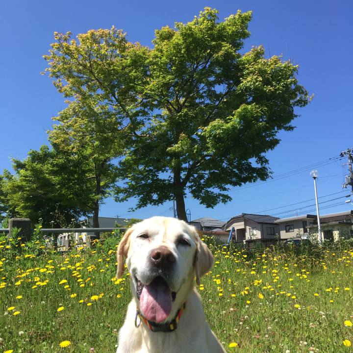 8a38f880 7497 4c8f 982c 96552872f37d