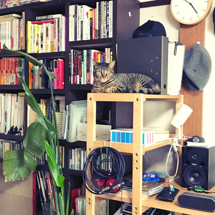 8a393bbe 6875 4497 b40a 044fa5e3785e