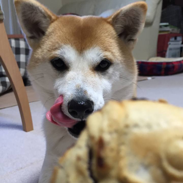 8a39add0 386e 4d99 97d7 78dd7bcac573