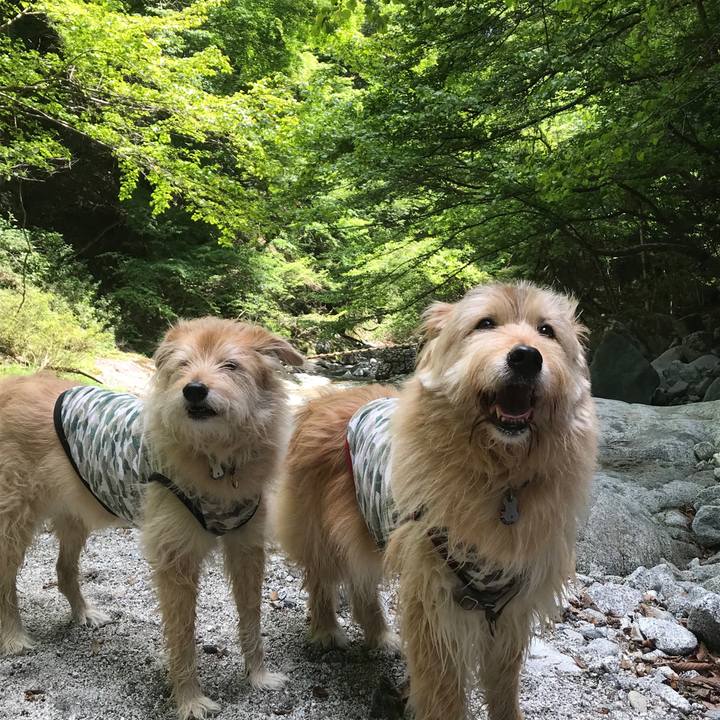 8a3a6674 531b 4e1a b1ba f9d67864e790