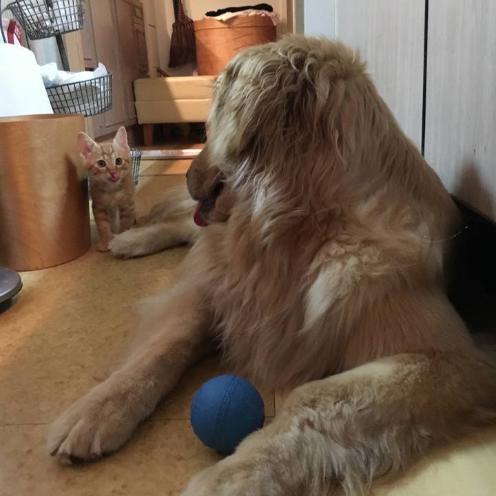 8a3a8e71 0e82 473c 979c 07cb01008721