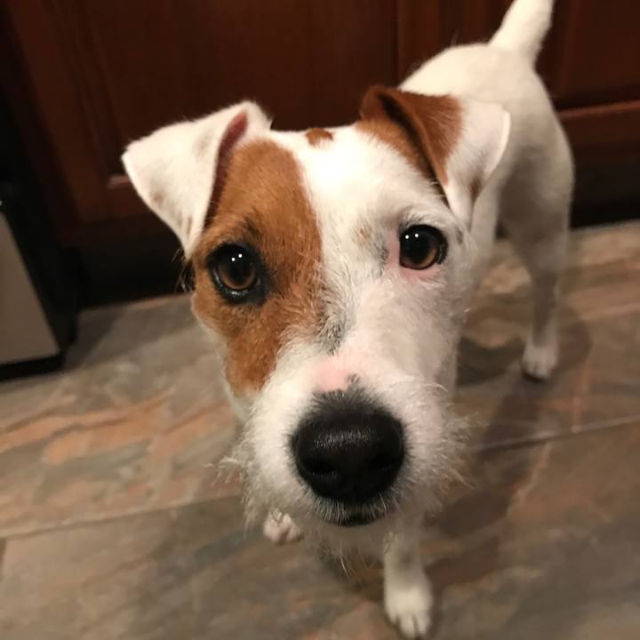 8a3a919e 7311 49be 9864 828a8809fe9a