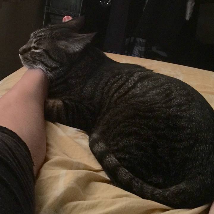 8a3ac7d7 bbb2 42f6 9d74 cf22b908ab45