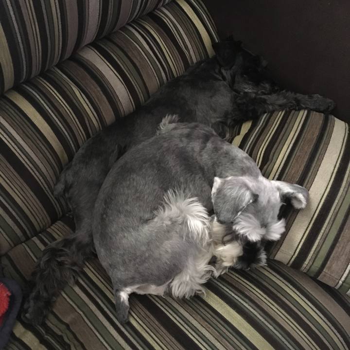 8a3b4fbe 436e 4857 b403 de14c29546f4