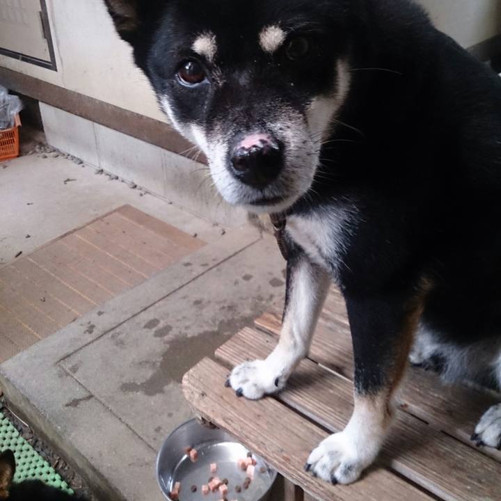 8a3bb424 4468 4cfe 8a40 6a5166e5fa79