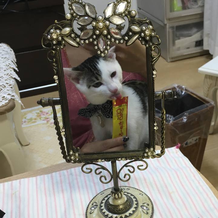 8a3c1ff4 c2e5 450d 9a55 dad2e206f3d6