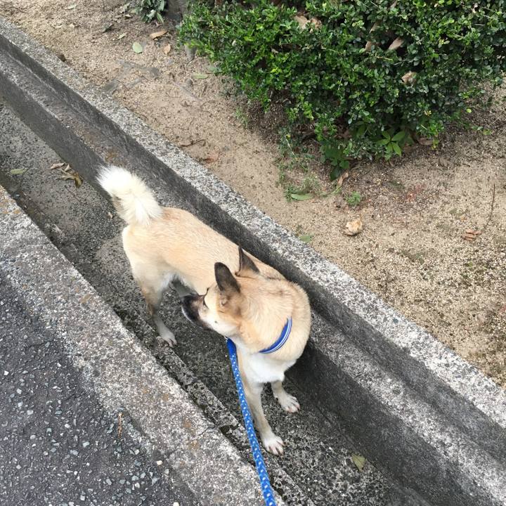 8a3cd8b2 f7ae 4872 852b b14e9dcae83f