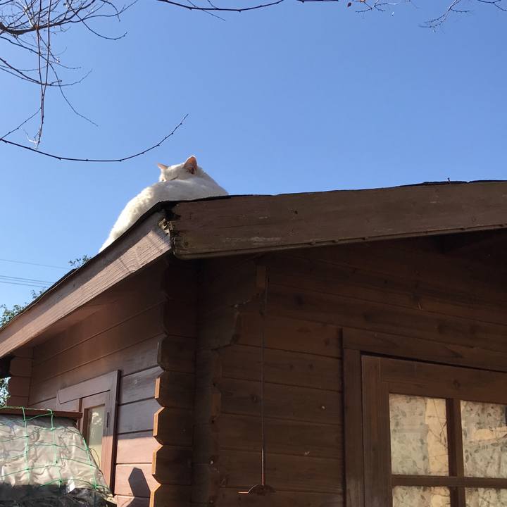 8a3d0c23 947b 4634 8d4f 48b989a218ac