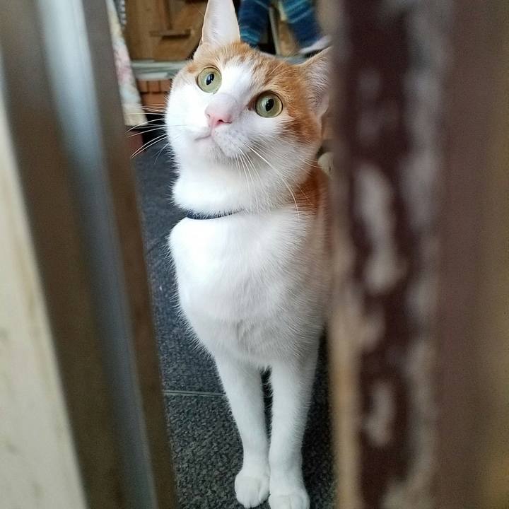 8a3d12df ab19 45ff afa0 171e8e57af23