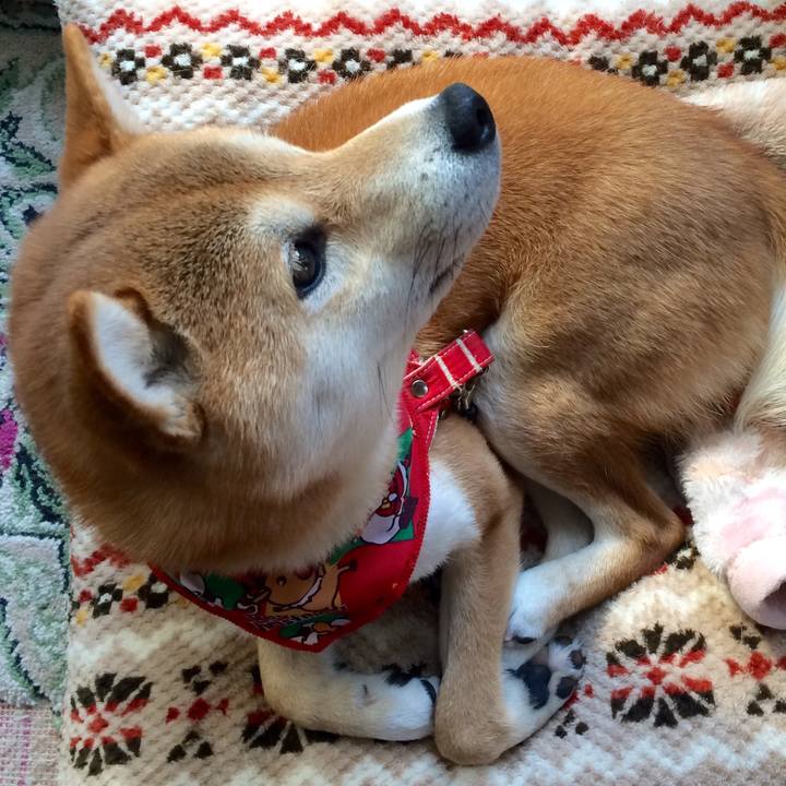 8a3d451b a135 483b 9c5f e4dcfb95bbfc