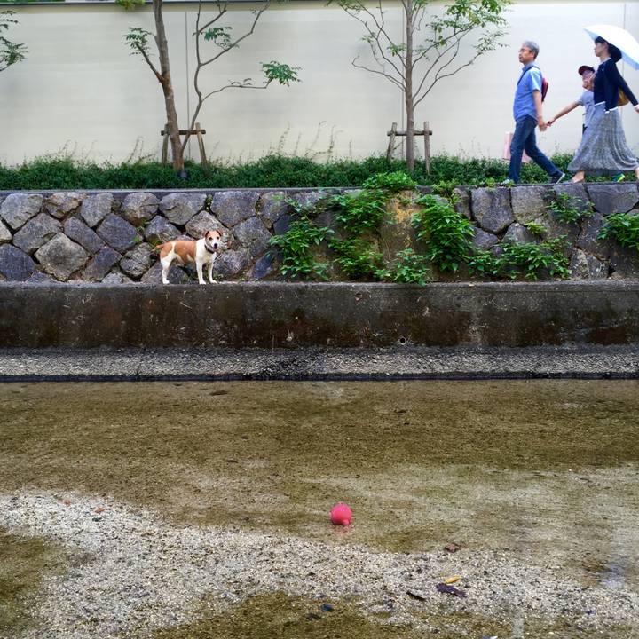 8a3d5f89 a655 4e5b aa4c d7d0f4a256c1