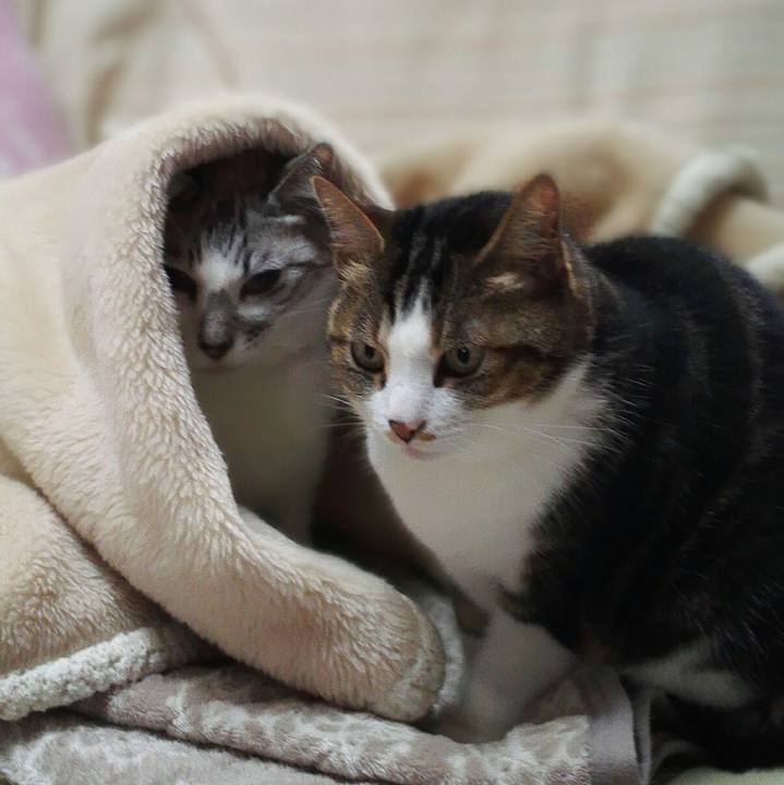 8a3dce21 6e12 45d6 a83d 2cdd41e3696a