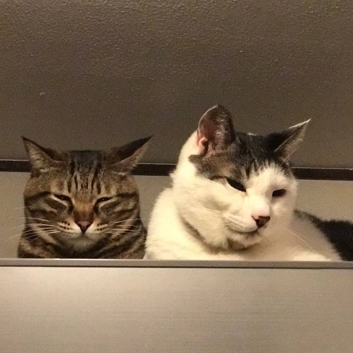 8a3ddf2f d864 4620 a019 ecbb7473e8aa