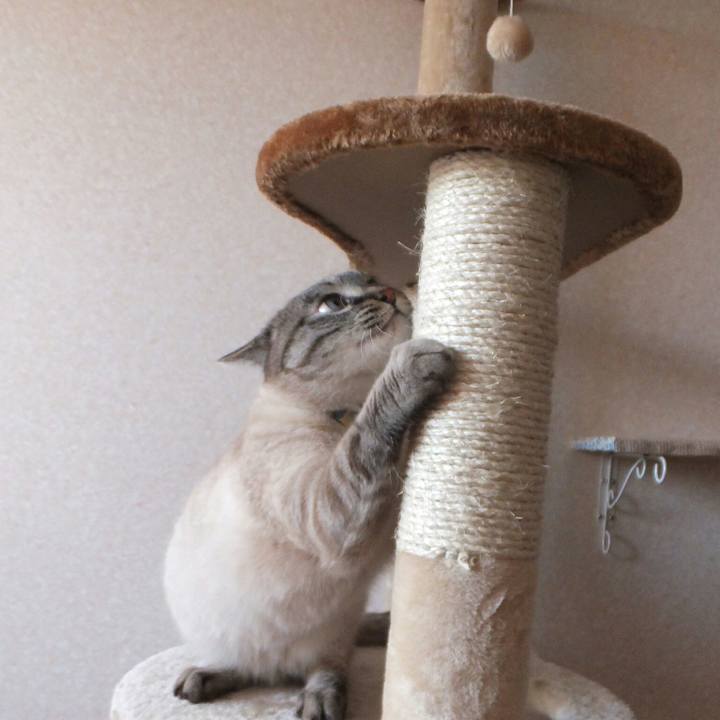 8a3e133a 5d3d 412e 89c8 8df93a25616f