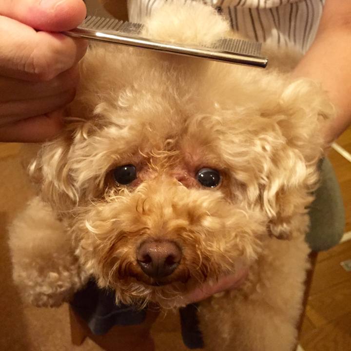 8a3eeed6 fdab 44d4 8841 3ff018abb4ee